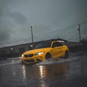 Meet your Posher, Nelson